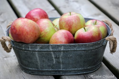 red-apples-6-of-8-800x533