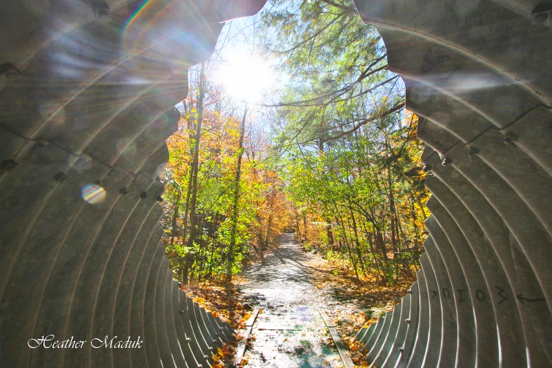 waterfall-trail-9-of-29-800x533